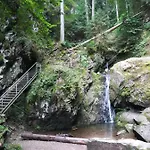 Hasenfratz