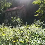 Hasenfratz *
