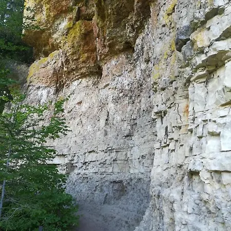 Hasenfratz