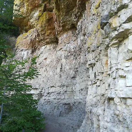 Hasenfratz