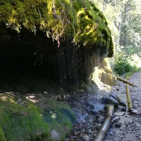 Apartamento Hasenfratz Löffingen