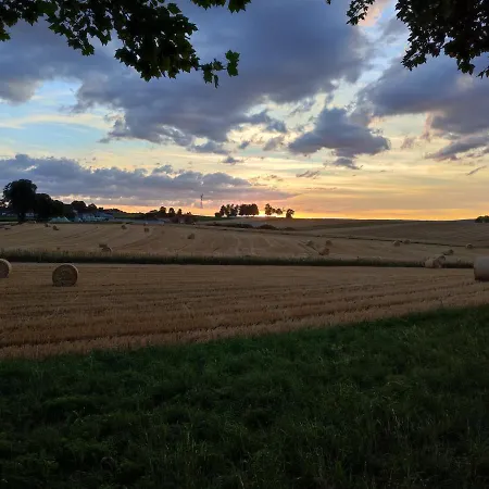 Hasenfratz