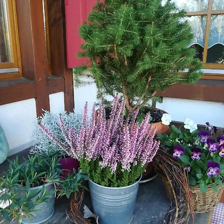 Hasenfratz Apartamento *