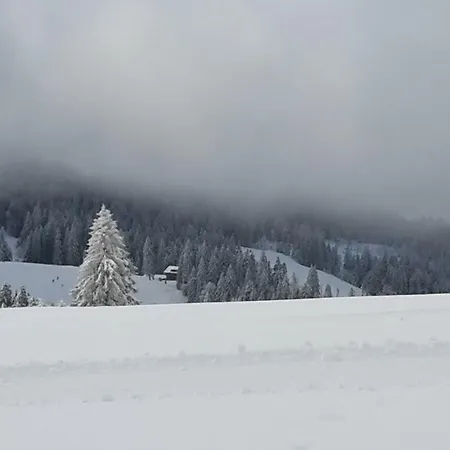 Hasenfratz Apartamento