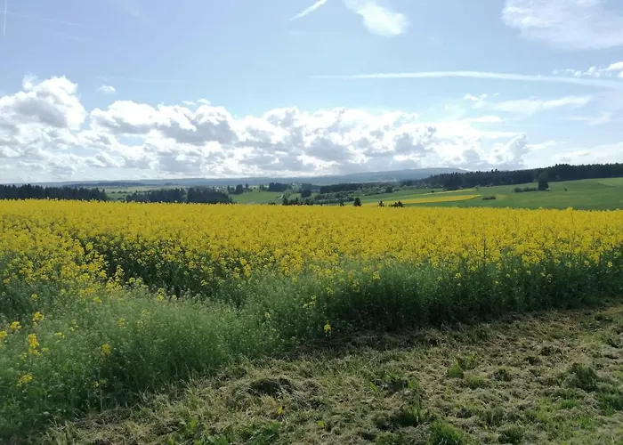 Lägenhet Hasenfratz *