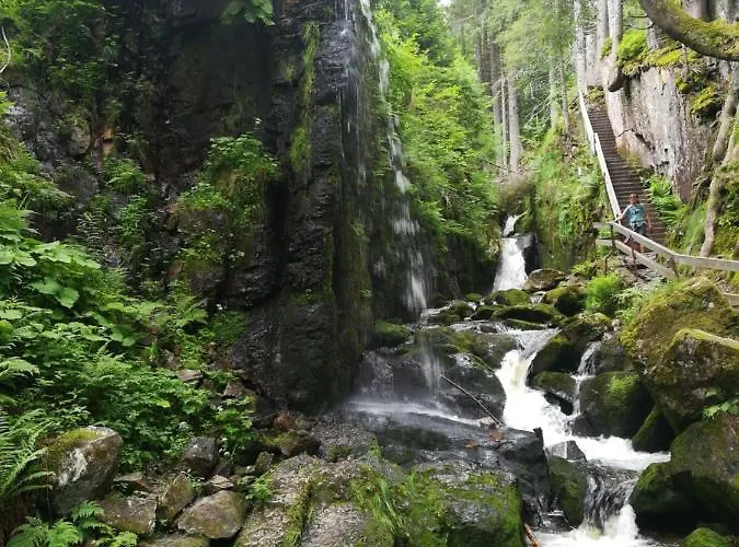 Lägenhet Hasenfratz Löffingen