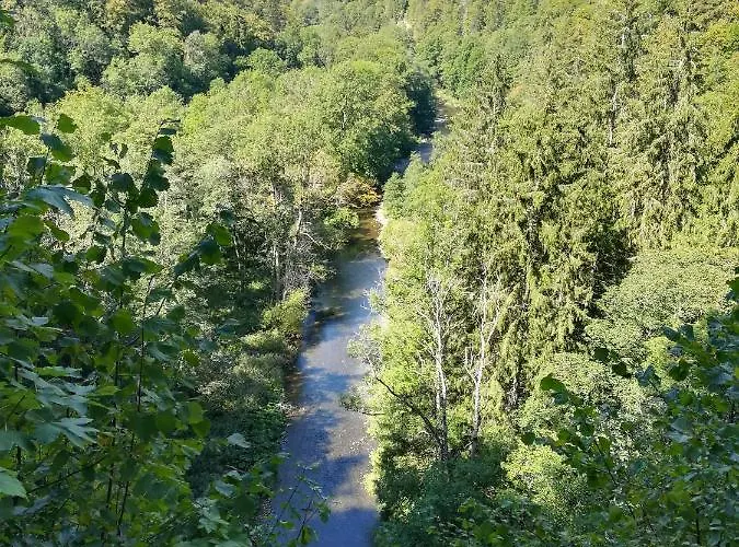 Hasenfratz * لوفنغن