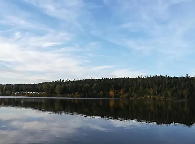 Hasenfratz Löffingen