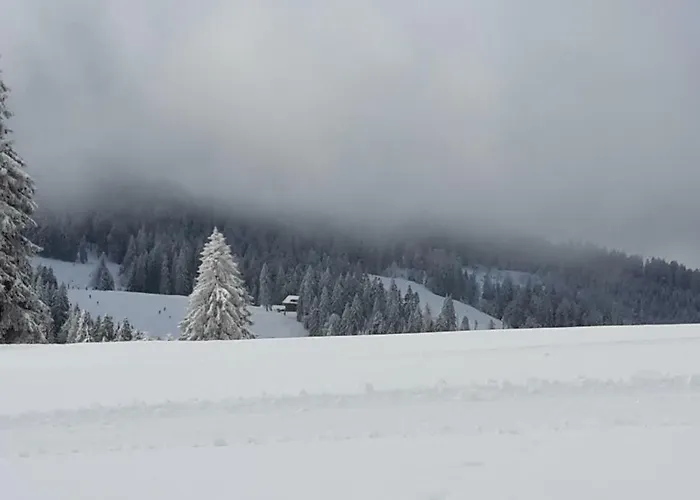 Hasenfratz Lägenhet